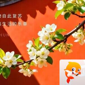 老书生【西窗剪烛】