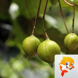 纳兰＿🎤V娱热点