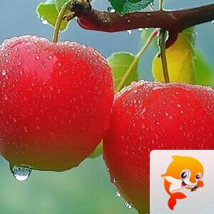 秦之声九州社群管快乐健康