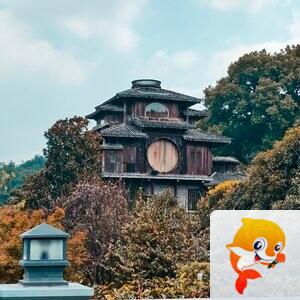 南风知意