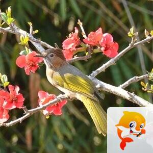 七月雨【美摄视界】 