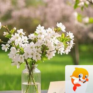 雪儿🎤V娱热点