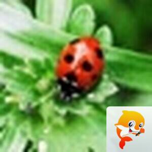 💎 女神皇族꧁晚🎤霞꧂