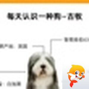 💫️压馨韵💫❦好ོ运ོ❦