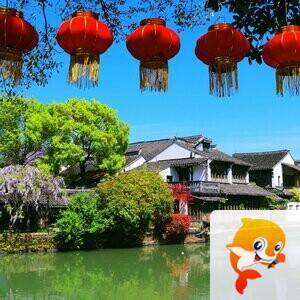 高粱