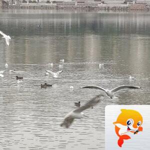 纳兰＿🎤V娱热点