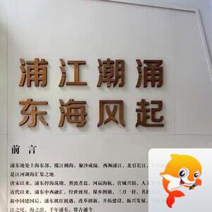 牛牛【美摄视界】
