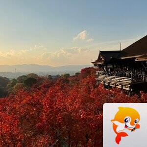 雪儿🎤V娱热点