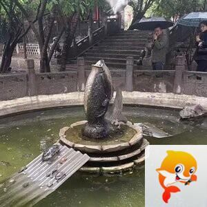 《华人文艺选刊》赵良田主编