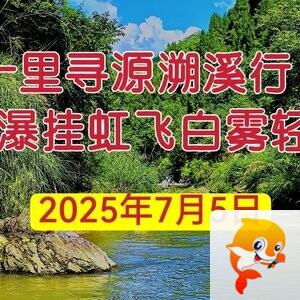 佑佑