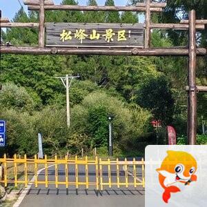 人上人