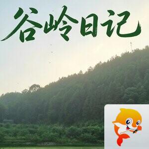 谷岭日记