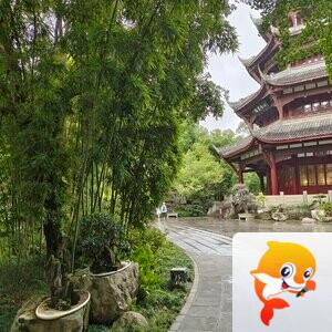 雪儿🎤V娱热点