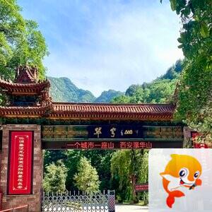 影子专收人气哨2元一万人气哨
