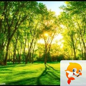 轻松【朗诵专区】