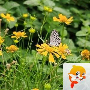 纳兰＿🎤V娱热点