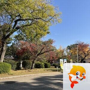 雪儿🎤V娱热点