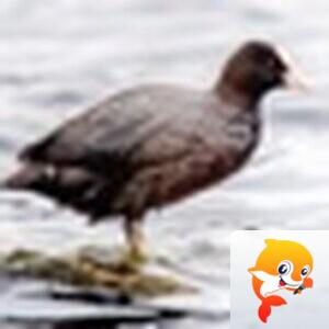 Man 【美摄视界】