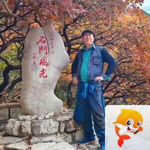 踏遍青山