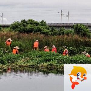 海口京环公司