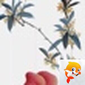 💞⃟ 当初遇她 ⁵