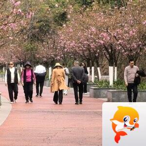 《华人文艺选刊》赵良田主编