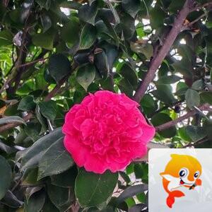 纳兰＿🎤V娱热点