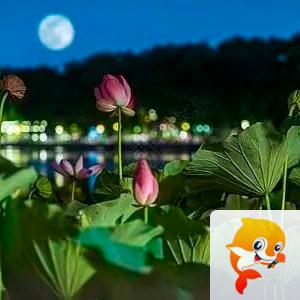 纳兰＿🎤V娱热点