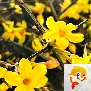 李忠祥  写生活的诗