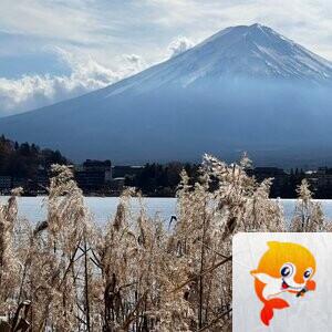 雪儿🎤V娱热点