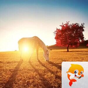 雪儿🎤V娱热点