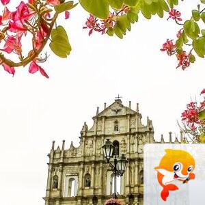 美摄《九图联盟》