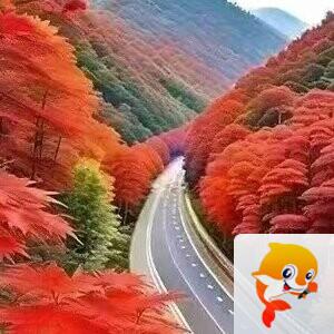 《华人文艺选刊》赵良田主编