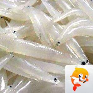 张国政(爱国军旅文坛)