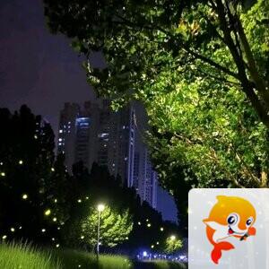 纳兰＿🎤V娱热点