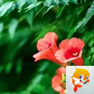 雪儿🎤V娱热点