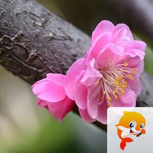 心灵摄影【美摄视界】