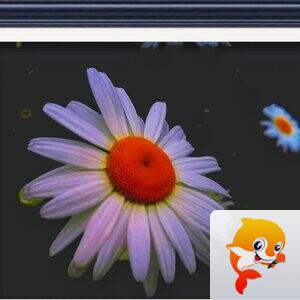 玛玎【美摄视界】