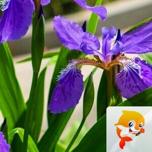 神8🇨🇳🇨🇳🇨🇳