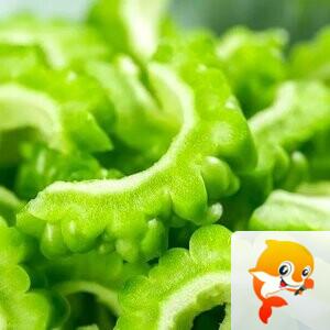 🍁金枝玉叶🍁歌房回礼