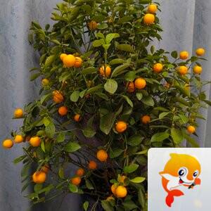 雪儿🎤V娱热点