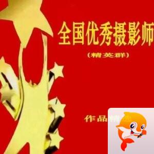 常青藤