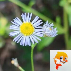 纳兰＿🎤V娱热点