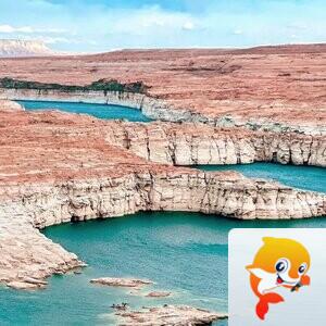 玖仙集团♧浅浅的回忆✥
