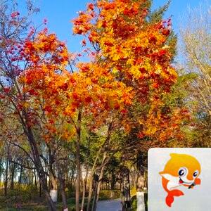 雪儿🎤V娱热点