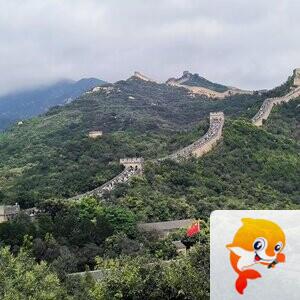 踏遍青山