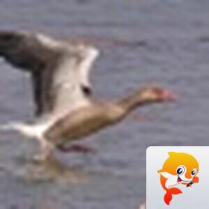 ℒℴѵℯ亮亮ꦿ໊ོ °