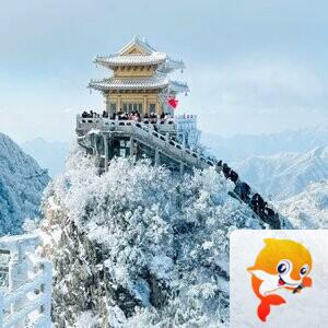 玖仙集团♧浅浅的回忆✥