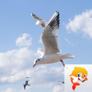 木林【兰亭雅韵】