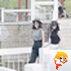 赵守平（摄影）